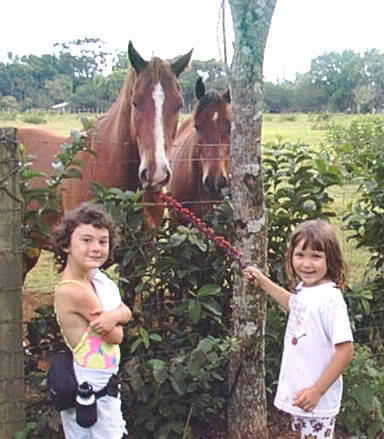 Wfriend&horses.jpg (25122 bytes)