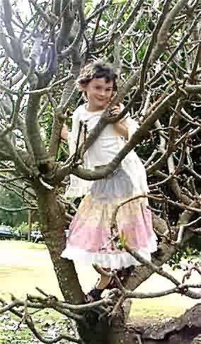 intree.jpg (38327 bytes)